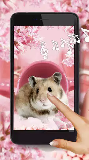 Play Hamsters Cool Live Wallpaper  and enjoy Hamsters Cool Live Wallpaper with UptoPlay