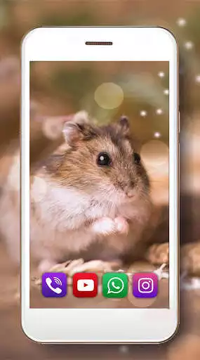 Play Hamsters Cool Live Wallpaper as an online game Hamsters Cool Live Wallpaper with UptoPlay