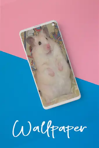 Play Hamster Wallpapers HD  and enjoy Hamster Wallpapers HD with UptoPlay