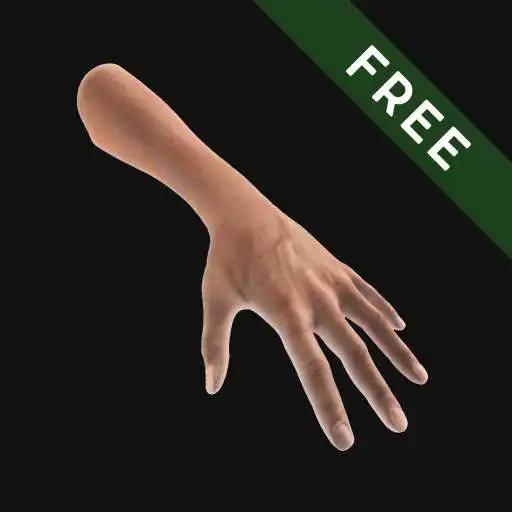 Free play online Hand Draw 3D Pose Tool FREE APK