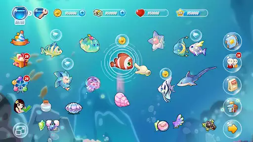 Play Happy Fish