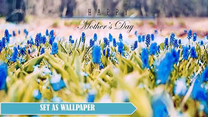 Play Happy Mothers day photo Free 2018