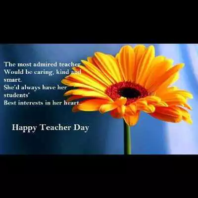 Play Happy Teachers Day Quotes