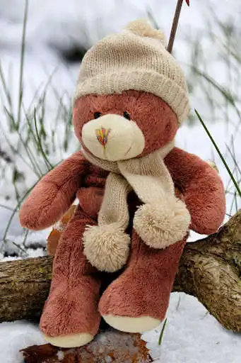 Play Happy Teddy Day  and enjoy Happy Teddy Day with UptoPlay