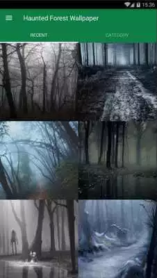Play Haunted Forest Wallpaper