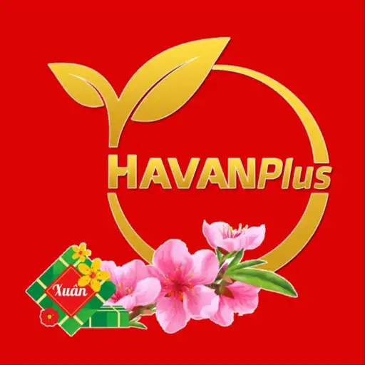 Play HavanPlus APK