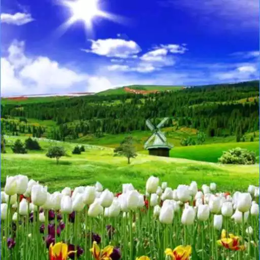 Play HD Nature Wallpapers (offline) APK