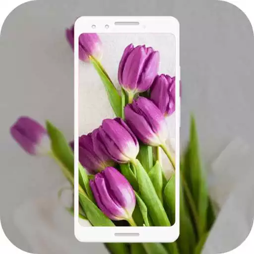 Free play online HD Purple Tulips Wallpaper APK