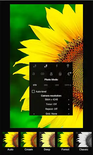 Play HDR Camera  and enjoy HDR Camera with UptoPlay