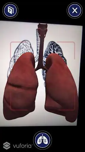 Play Healthy Lungs AR as an online game Healthy Lungs AR with UptoPlay