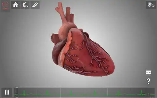 Play HeartWorks AR  and enjoy HeartWorks AR with UptoPlay