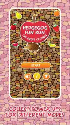 Play Hedgehog Fun Run