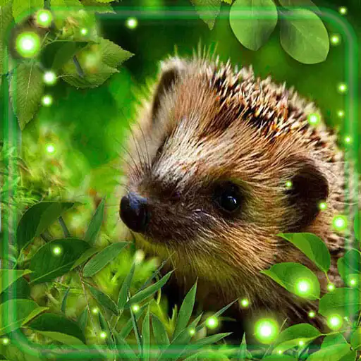 Play Hedgehogs Forest APK