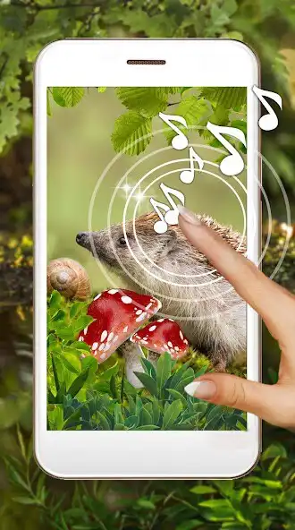 Play Hedgehogs Forest  and enjoy Hedgehogs Forest with UptoPlay