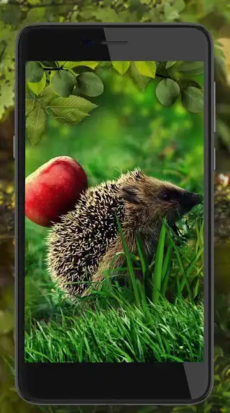 Play Hedgehogs Forest as an online game Hedgehogs Forest with UptoPlay