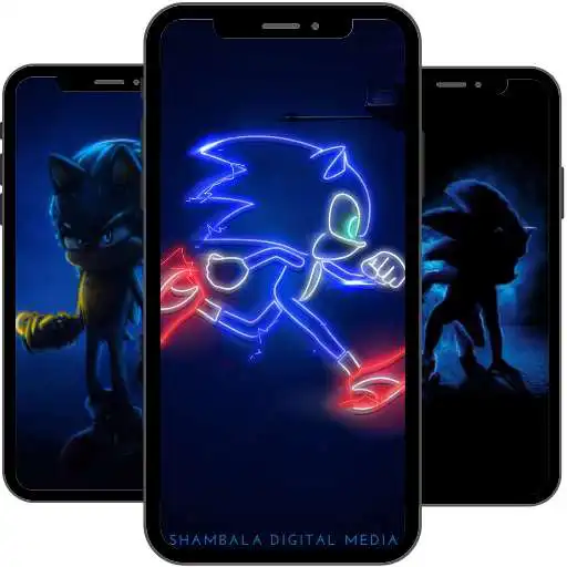 Play Hedgehog Wallpaper 2022 APK