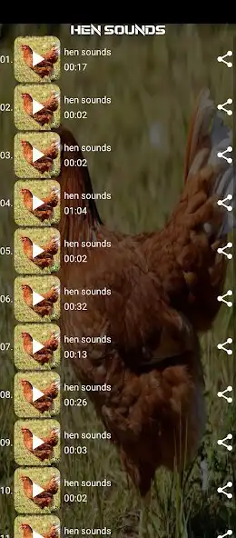 Play hen sounds as an online game hen sounds with UptoPlay