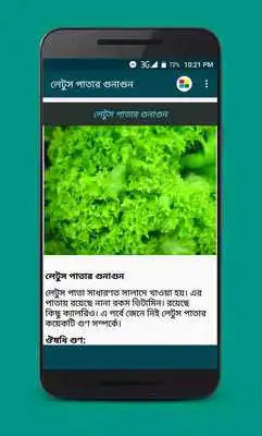 Play Herbal Plant Medicine