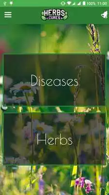 Play Herbs Cures