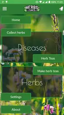 Play Herbs Cures