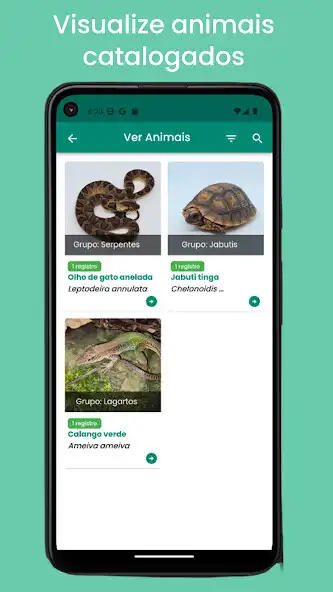 Play HERPETOSESC  and enjoy HERPETOSESC with UptoPlay