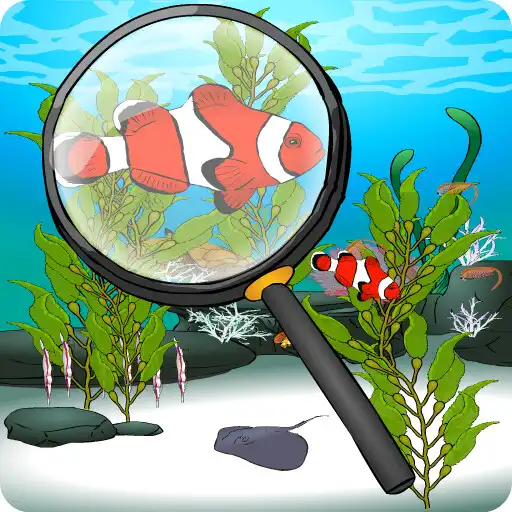 Play Hidden Fish APK