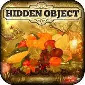 Free play online Hidden Object - Autumn Harvest APK