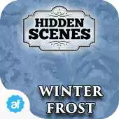 Free play online Hidden Scenes - Winter Frost APK