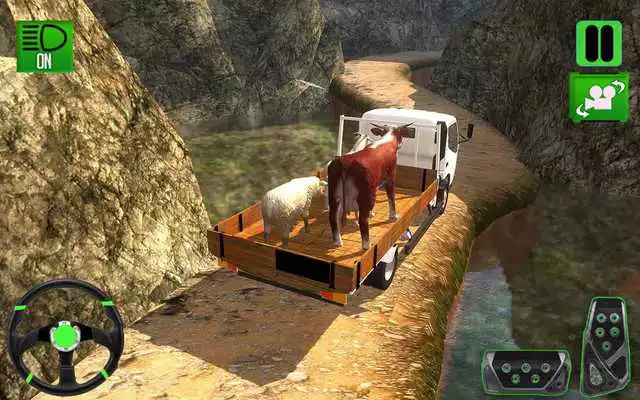 Play hillclimb animal transport