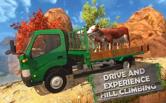 Play hillclimb animal transport