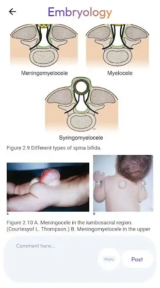 Play Histology And Embryology as an online game Histology And Embryology with UptoPlay