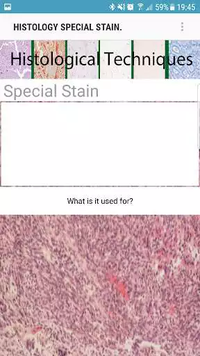 Play Histology Special Stains