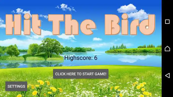 Play Hit The Bird