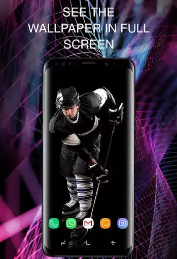 Play Hockey - wallpapers as an online game Hockey - wallpapers with UptoPlay