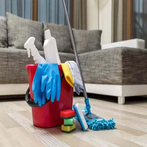 Play Home Cleaning Services 2021 APK