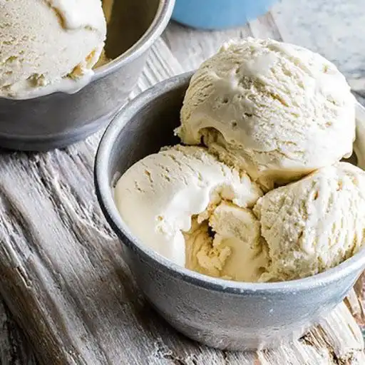 Free play online Homemade Ice-Cream Recipes APK