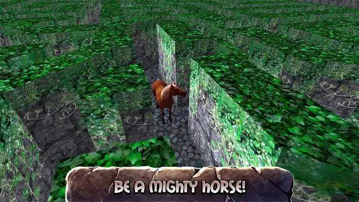 Play Horse Maze Racing Adventure Quest