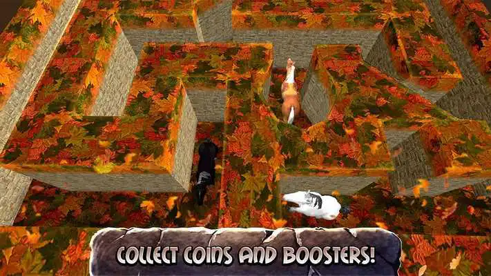 Play Horse Maze Racing Adventure Quest