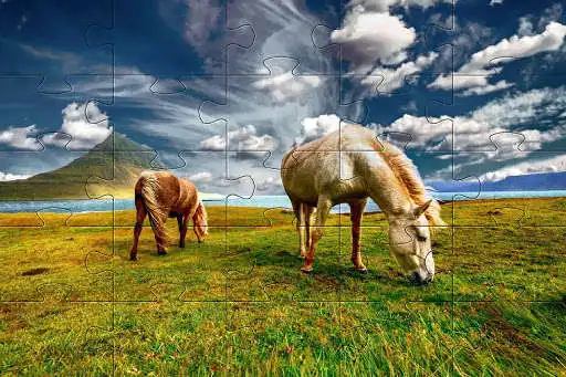 Play Horses jigsaw puzzles games as an online game Horses jigsaw puzzles games with UptoPlay