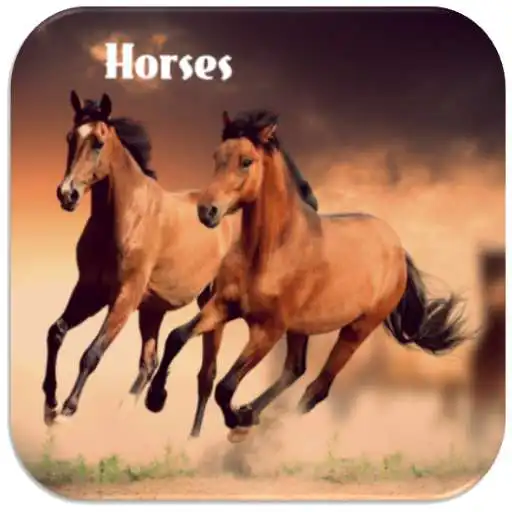 Play Horses Neighing APK