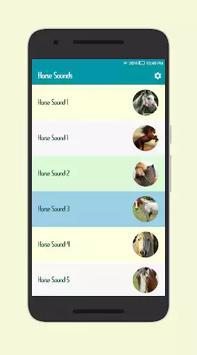 Play Horse Sounds  and enjoy Horse Sounds with UptoPlay