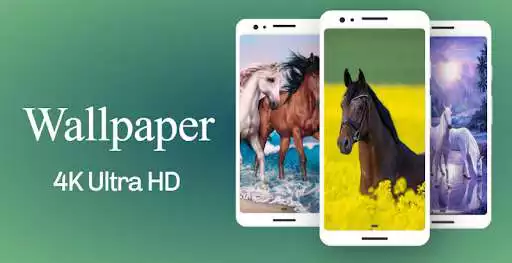 Play Horse Wallpaper 4K  and enjoy Horse Wallpaper 4K with UptoPlay