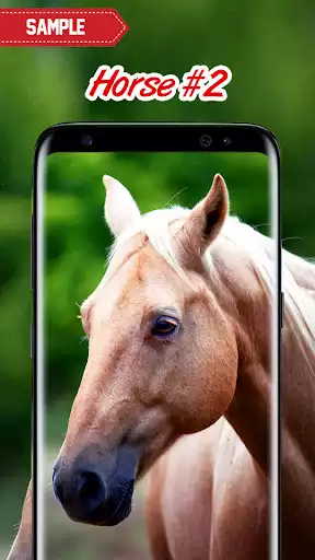 Play Horse Wallpaper as an online game Horse Wallpaper with UptoPlay