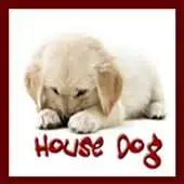 Free play online HOUSE DOG APK