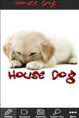 Play HOUSE DOG