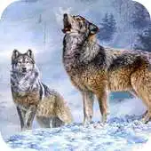 Free play online How to draw a Wolf APK