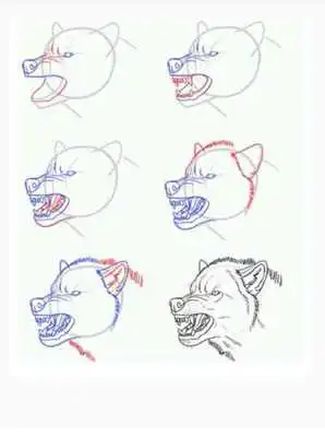 Play How to draw a Wolf