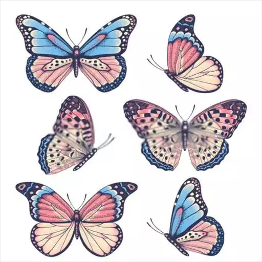 Play How To Draw Butterfly APK