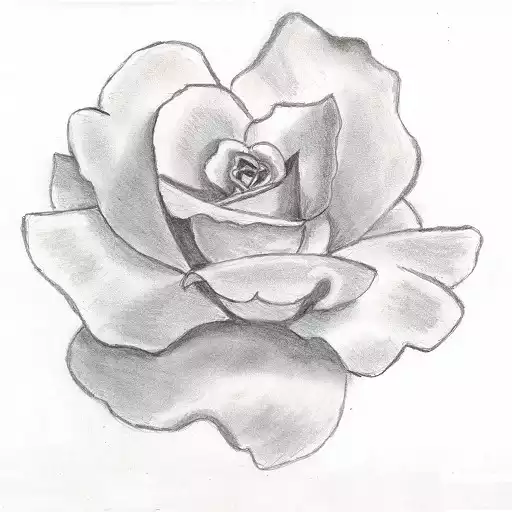 Free play online How To Draw Flowers  APK