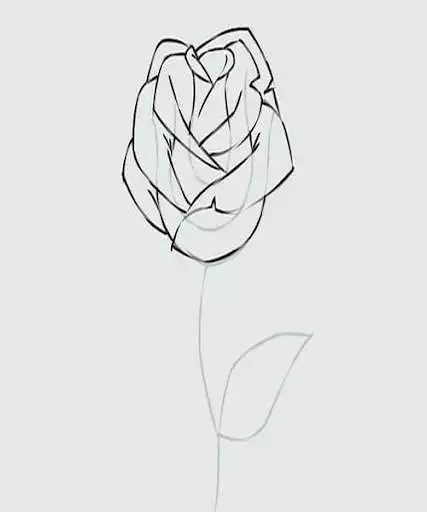 Play How to Draw Flowers Step by Step